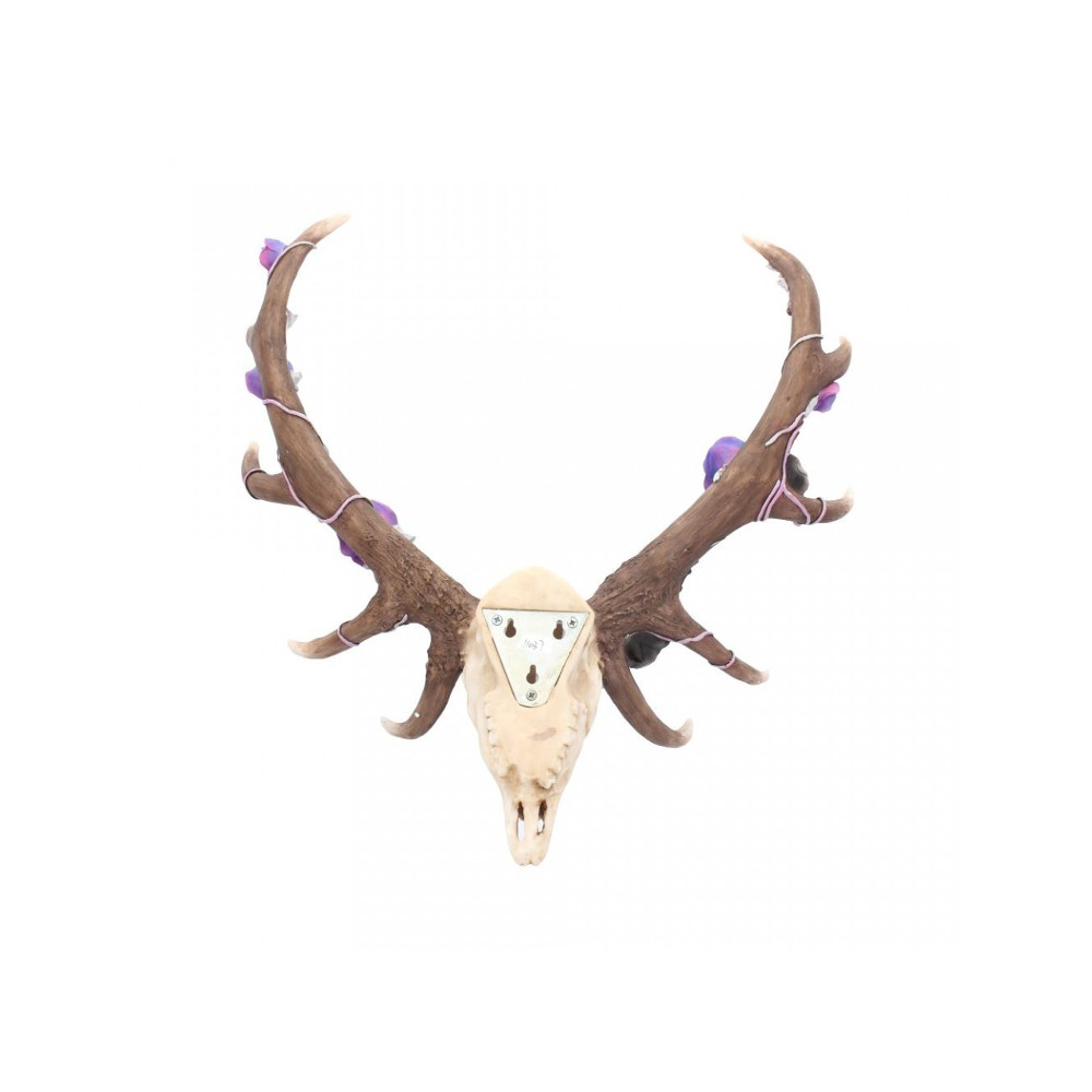 Nemesis Now - Antlers of Eden Muurdecoratie - Multicolours